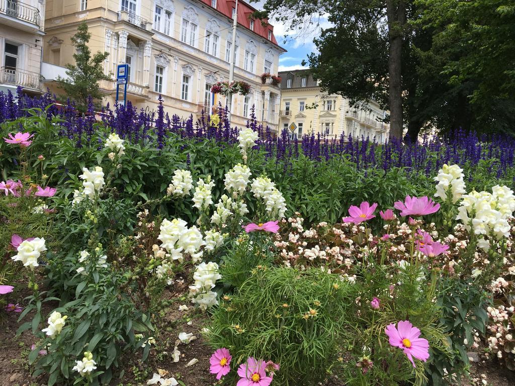 Apartmán Kamila Mariánské Lázně Exterior foto